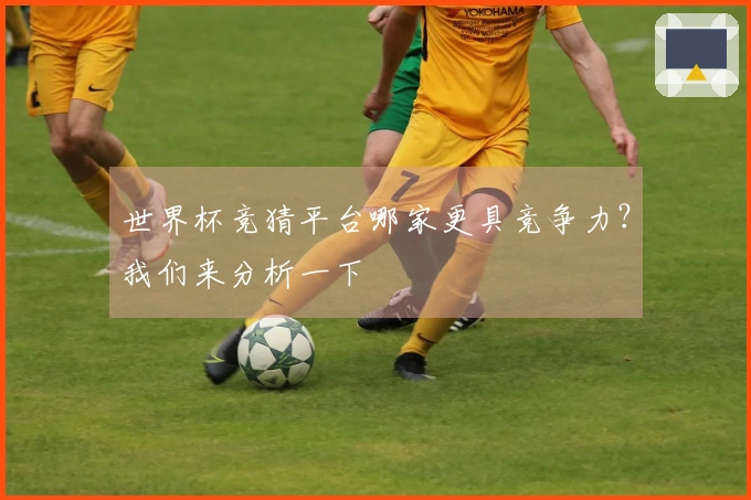 世界杯竞猜平台哪家更具竞争力？我们来分析一下