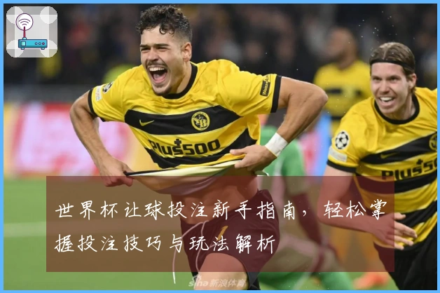 世界杯让球投注新手指南，轻松掌握投注技巧与玩法解析