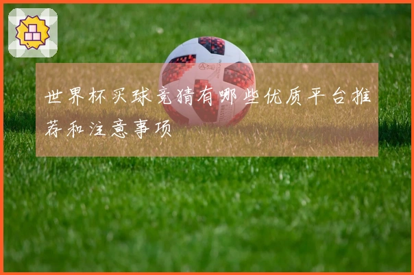 世界杯买球竞猜有哪些优质平台推荐和注意事项